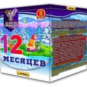 12 месяцев ( 1 х 16 )