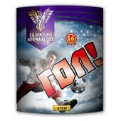 Гол! ( 0.8 x 16 )