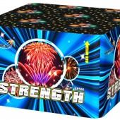 Strength (1*100)