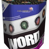 Word (0.8*19)